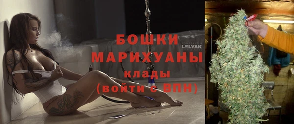 ALPHA PVP Елизово