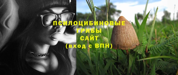 прущая мука Елабуга