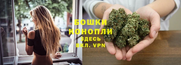 ALPHA PVP Елизово
