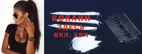 прущая мука Ельня