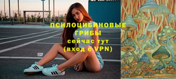 ALPHA PVP Елизово
