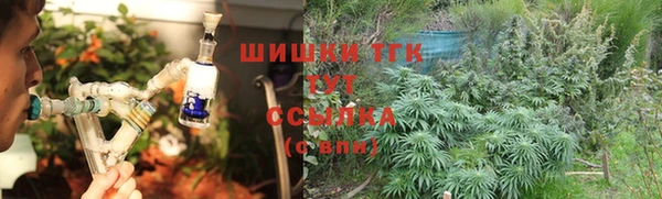 прущая мука Ельня