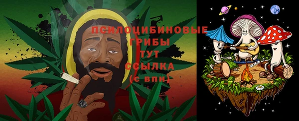 прущая мука Ельня