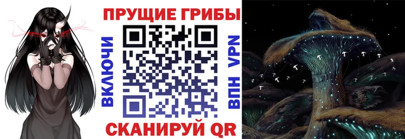 Галлюциногенные грибы мицелий  Купить где  Пестово 
