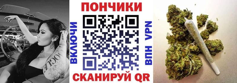 Купить закладки  Пестово  Конопля конопля 